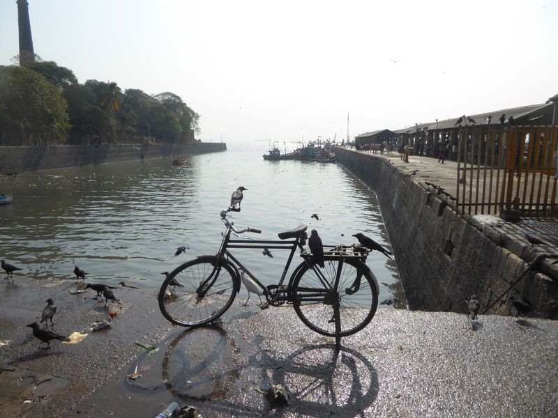 The place is a very busy fish market, though we're at a quiet corner with crows for company.