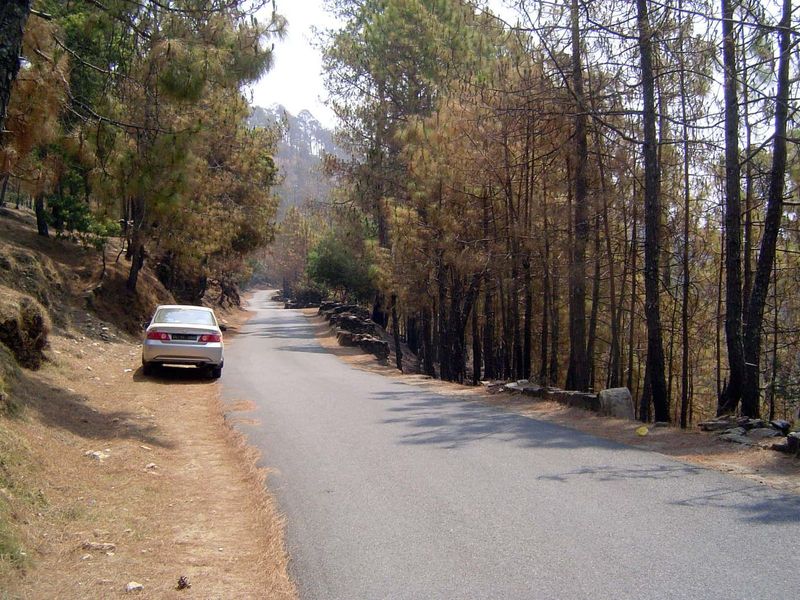 East of Almora Town, most of the mountains are forested in pine. Despite the apparent solitude, there's a surprising amount of traffic, espe