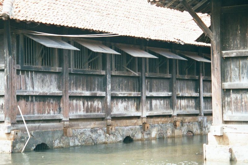 A closer view.
