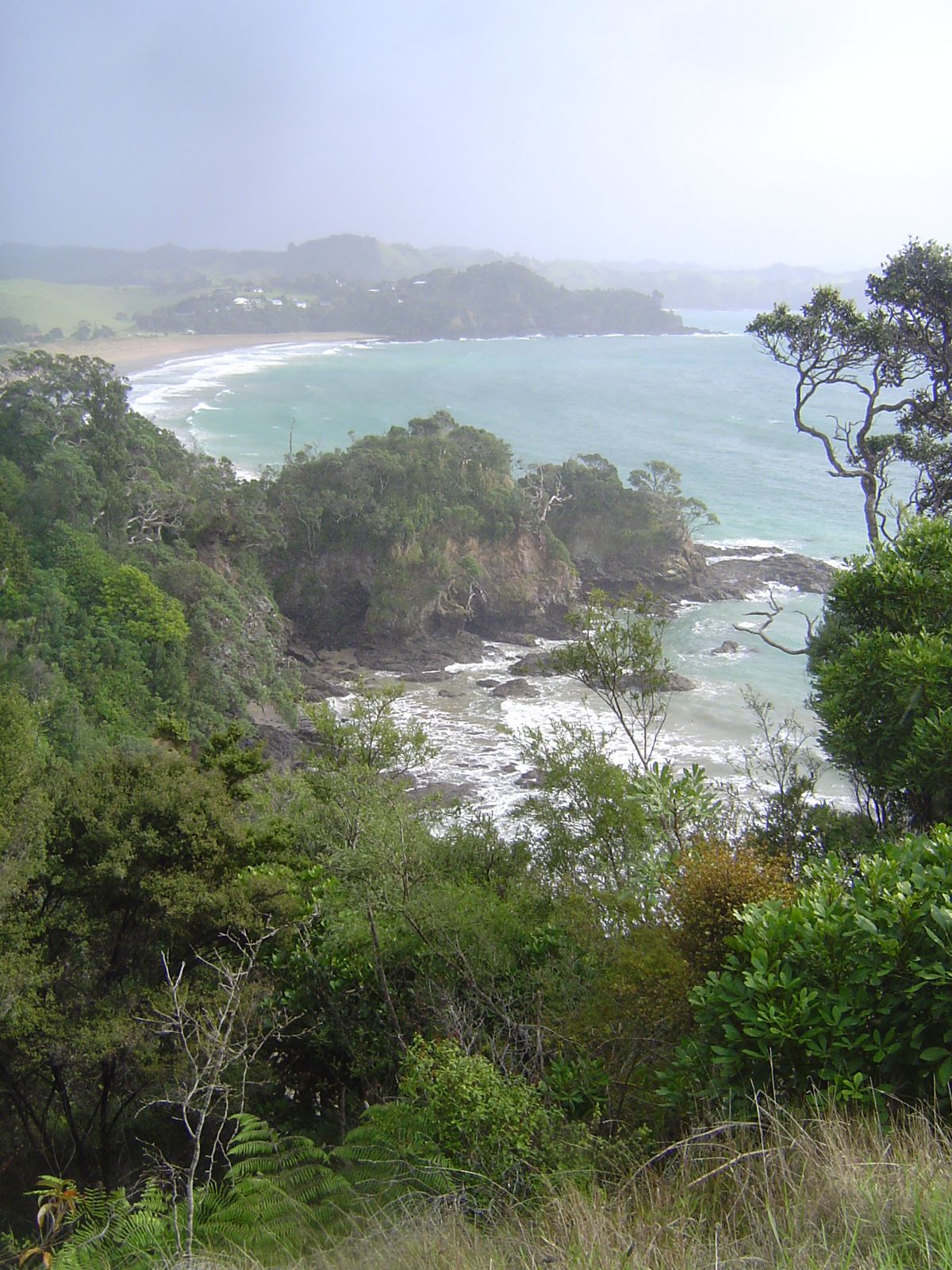 The coast—here Whale Bay and Woolleys Bay—is spectacular.