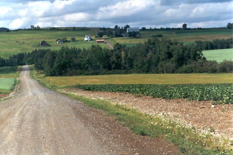 Secondary roads are often unpaved.
