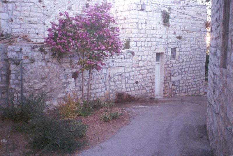 A tenderer scene.
