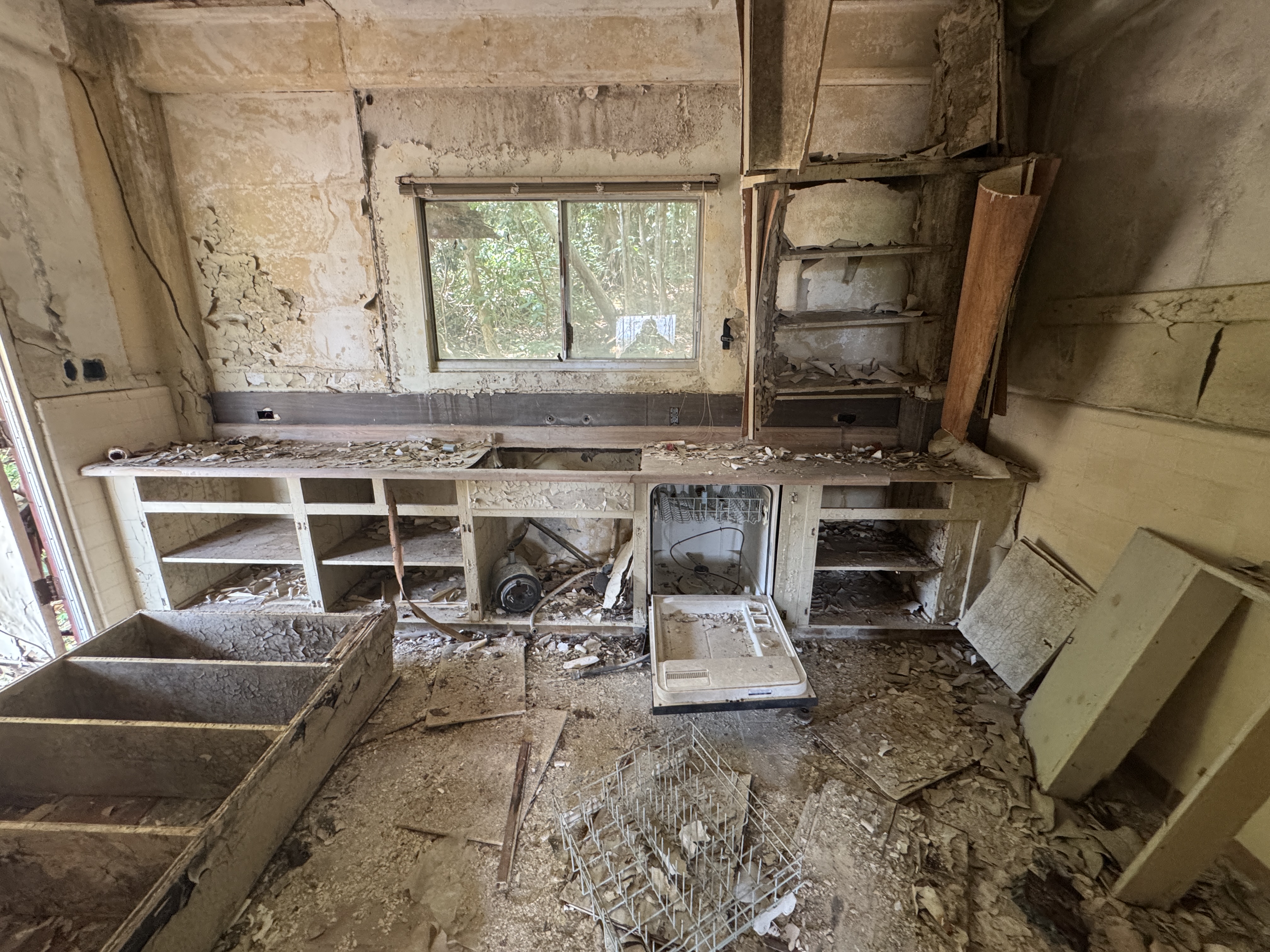 OK, the kitchen needs work.