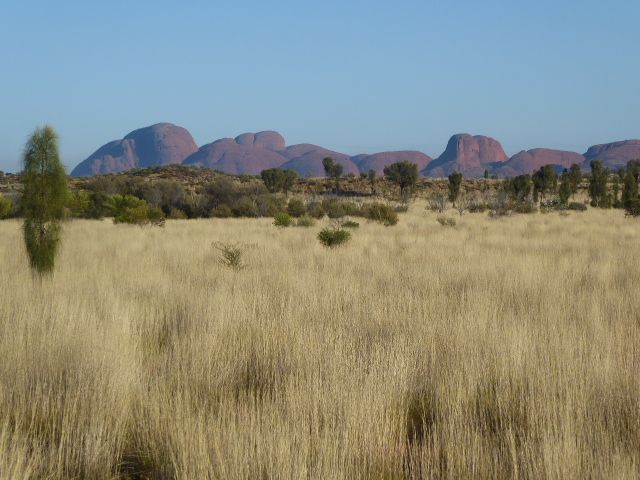 Ernest Giles, the same Giles who "discovered" Ayers Rock, saw these mountains "Many Heads" in the Pitjantjatjara language and named them aft