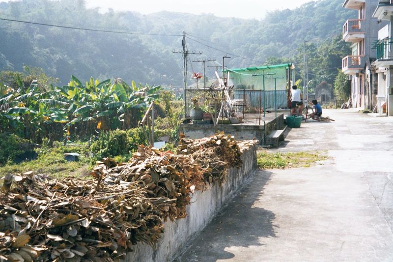 Bananas still grow on the flat land to the left; the paddy fields used to be over the hill in the background.