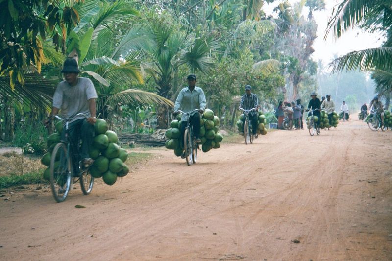 Here's a shipment coming in early one morning from around the East Baray.