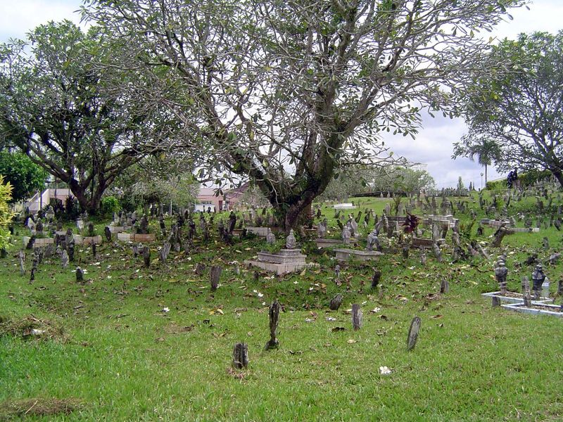 Another view.