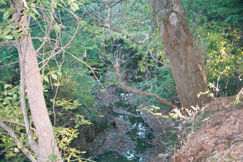 The Crosstimbers had for decades been a huge impediment to travelers. Here, again from East Norman, a creek flows in a channel incised throu