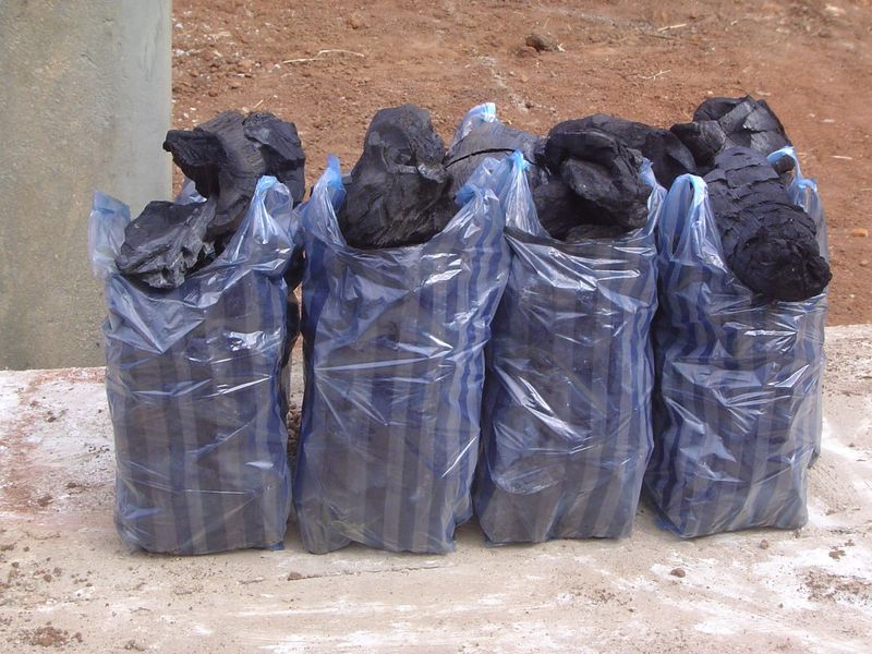 Bags this size suggest that customers have only enough money to buy fuel a day at a time.
