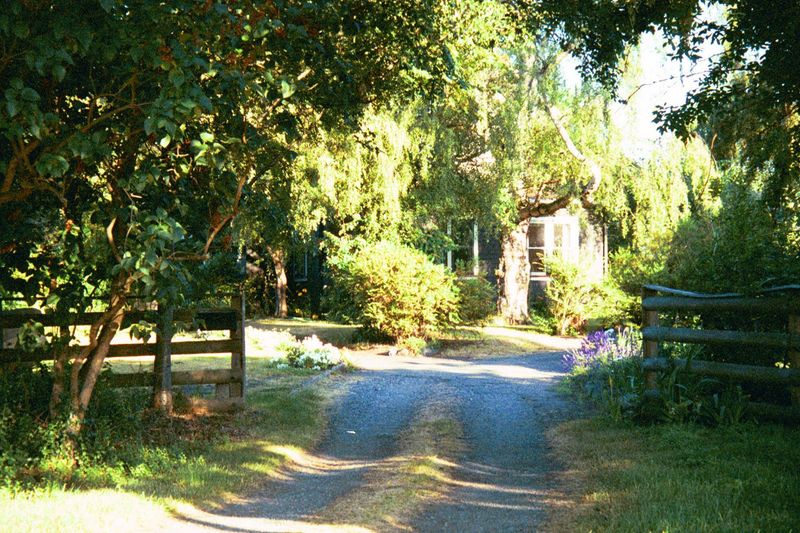 That's it! That's the one I want. So speaks she who must be obeyed. The house itself is modest, but the lot is deep.