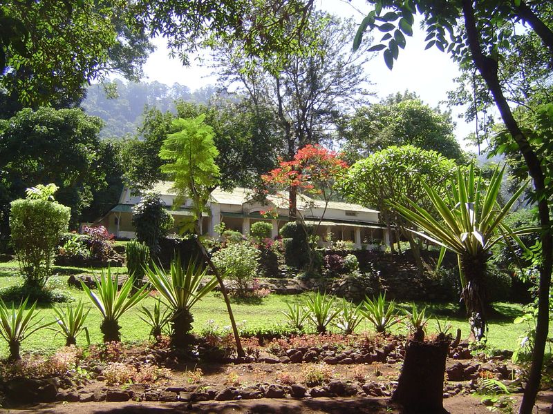 Bungalows ranged up the hill behind the Club. A visitor wrote, "The officials certainly live under ideal conditions. The climate is perfect.