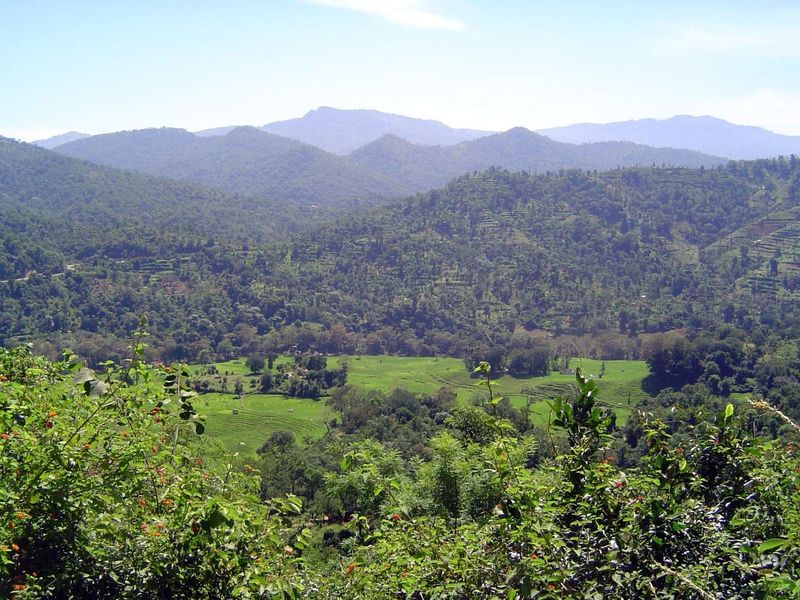 Looking down to the village's paddy land.