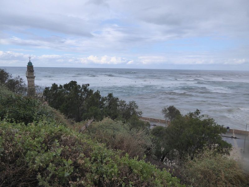 Need a bit of fresh air? We've come back down to Jaffa and the sea.