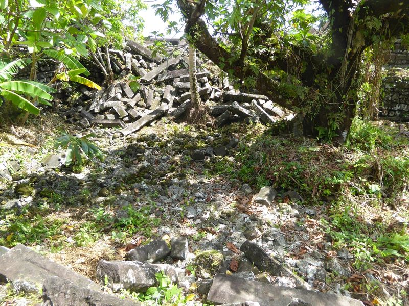 Behind the tomb but still within the enclosure there are heaps of logs left over from vanished structures, probably parts of the tombs of la