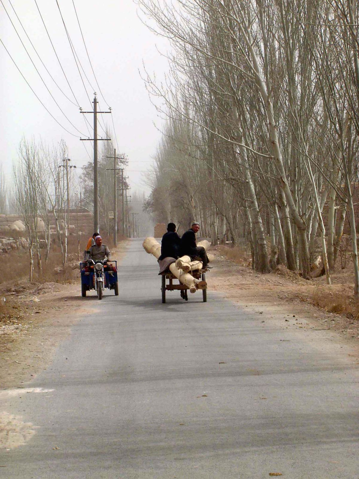 Transport both by motor tricycle and donkey cart.