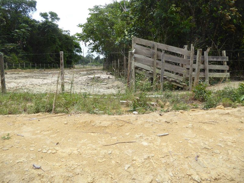 Then, signs of cattle.