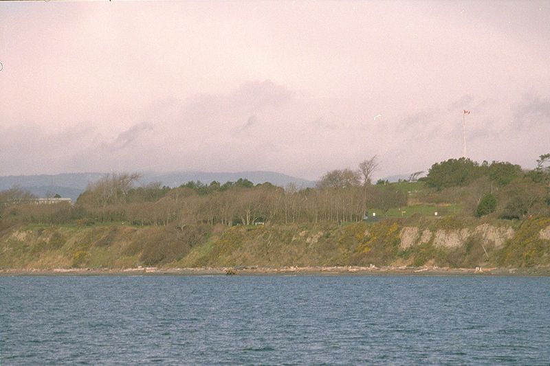 Stepping back several hundred moist yards to see a good bit of Beacon Hill Park, perched on its bluff above a log-strewn beach. This is abou