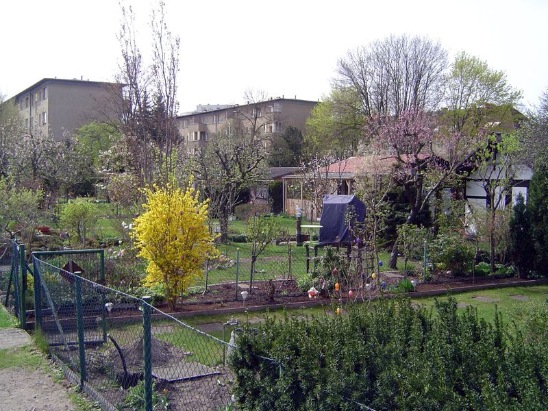 A block away there are some grim DDR apartment blocks, but even here there is a nod to "air, light, and sun" with these small garden allotme