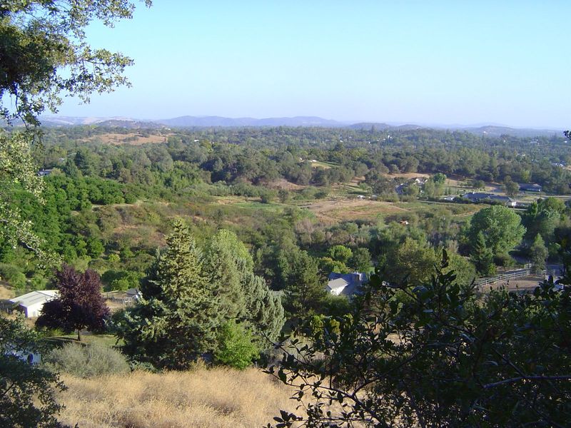 These foothills, with a good climate and good access to rail transport, were soon planted to fruit trees.