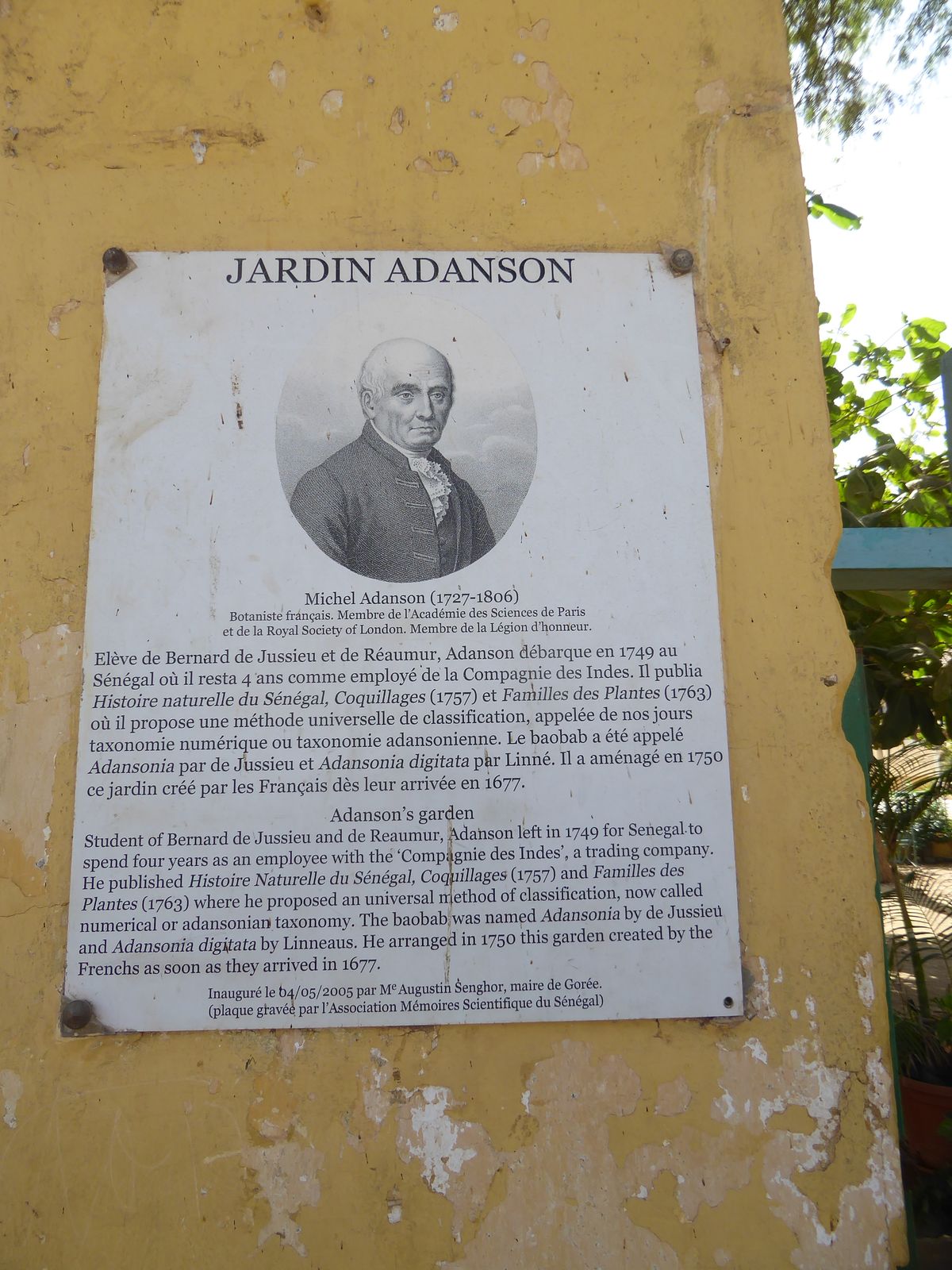 The baobab got its scientific nama Adansonia digitata from Michel Adanson, who laid out this garden during the four years he was on Gorée as