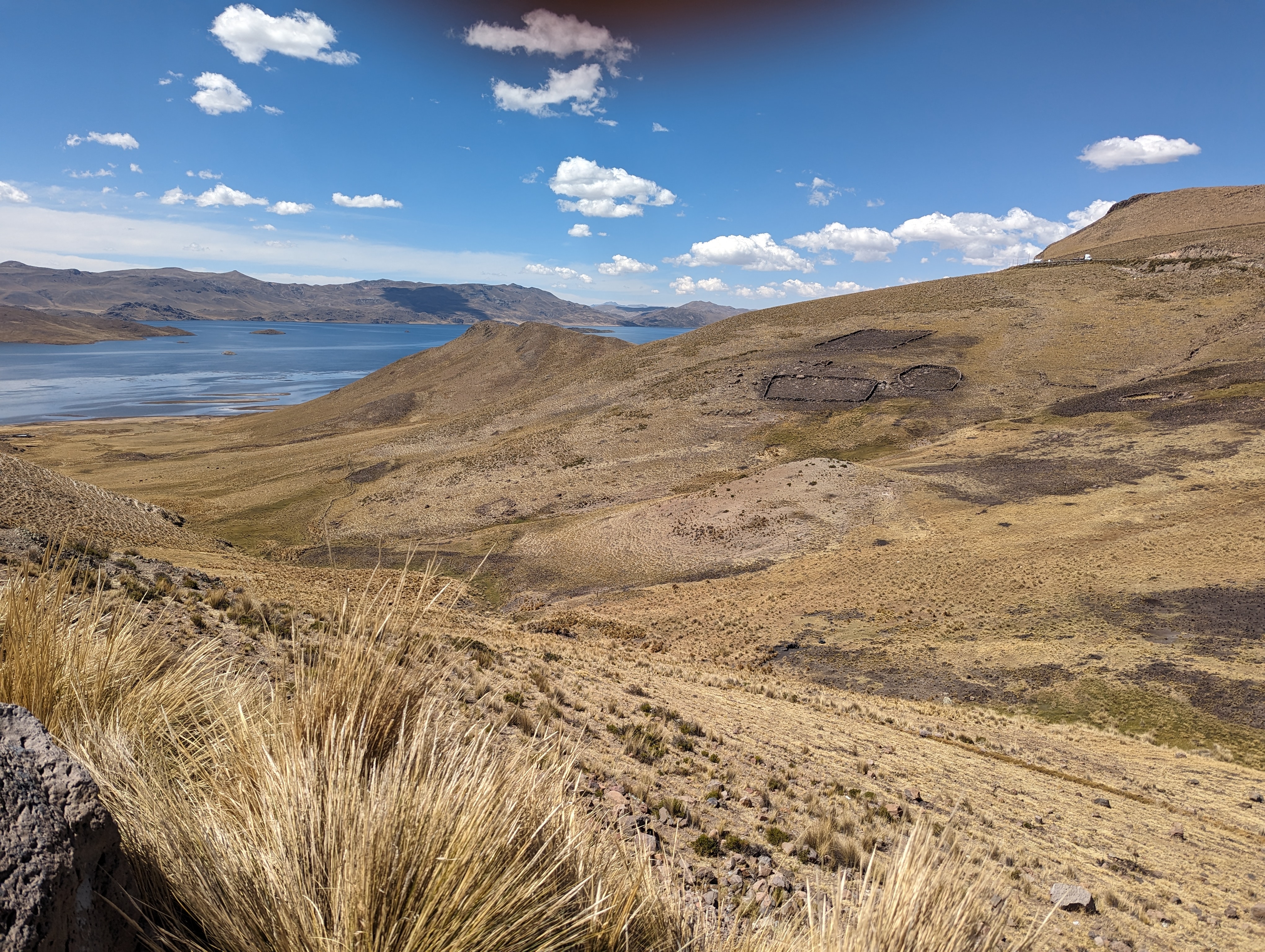 We've crossed into the Lake Titicaca watershed, corresponding to the Altiplano.  This is Laguna Lagunillas, which drains to Titicaca.