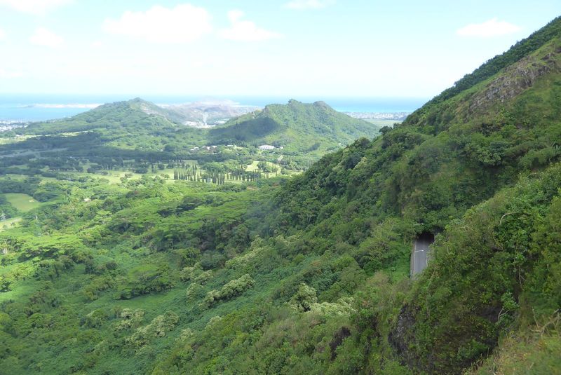 View from the Pali Wayside, the only place where motorists crossing the range on any of the three roads can stop. Who would have thought: no
