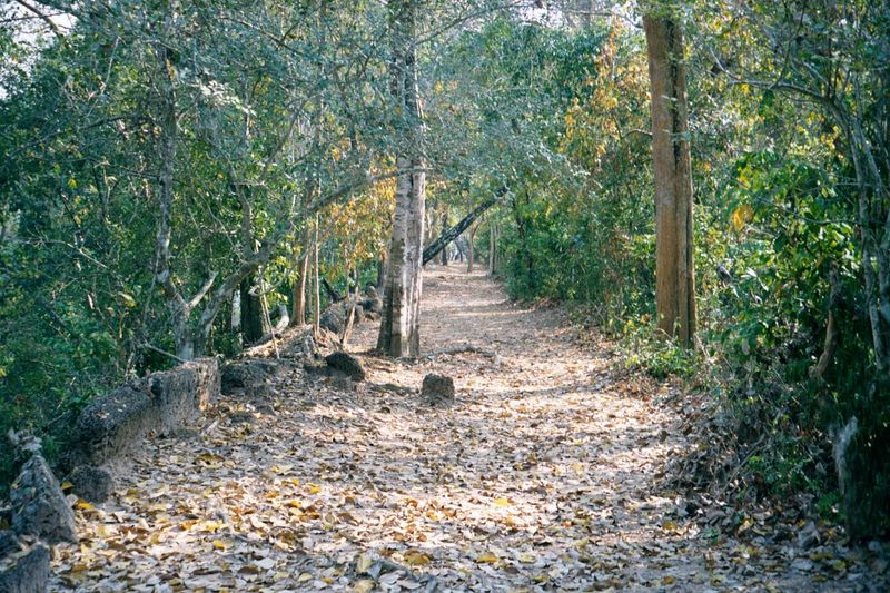 Atop the north wall and heading to the northeast corner. The walls are all 25 feet high and built of laterite. The material is ubiquitous. A