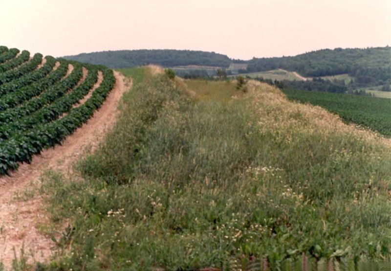 Much of the cultivated land is so hilly that soil-conservation measures are needed, like these grassed berms that keep surface runoff from g