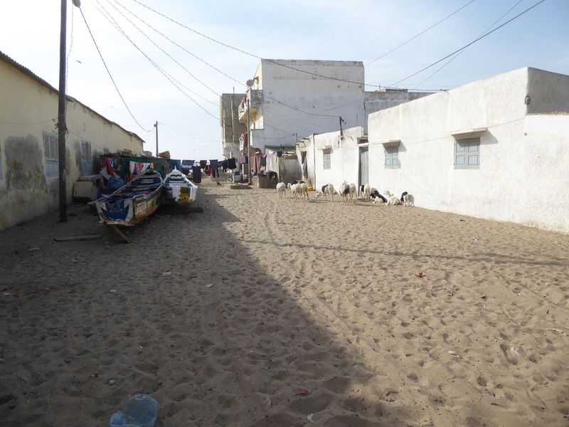 Trudge, trudge. The pirogues have been rolled the 50 meters or so from the water.