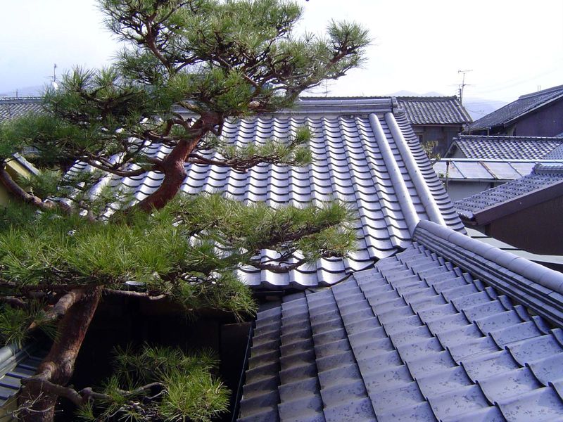 The rooftop view.