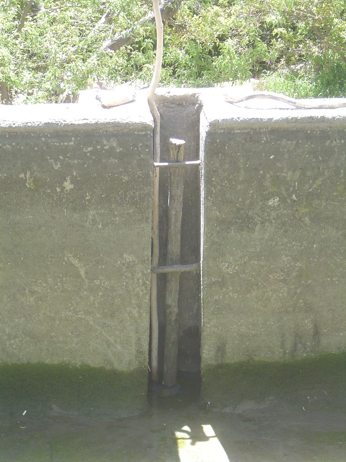 A plugged pond outlet.