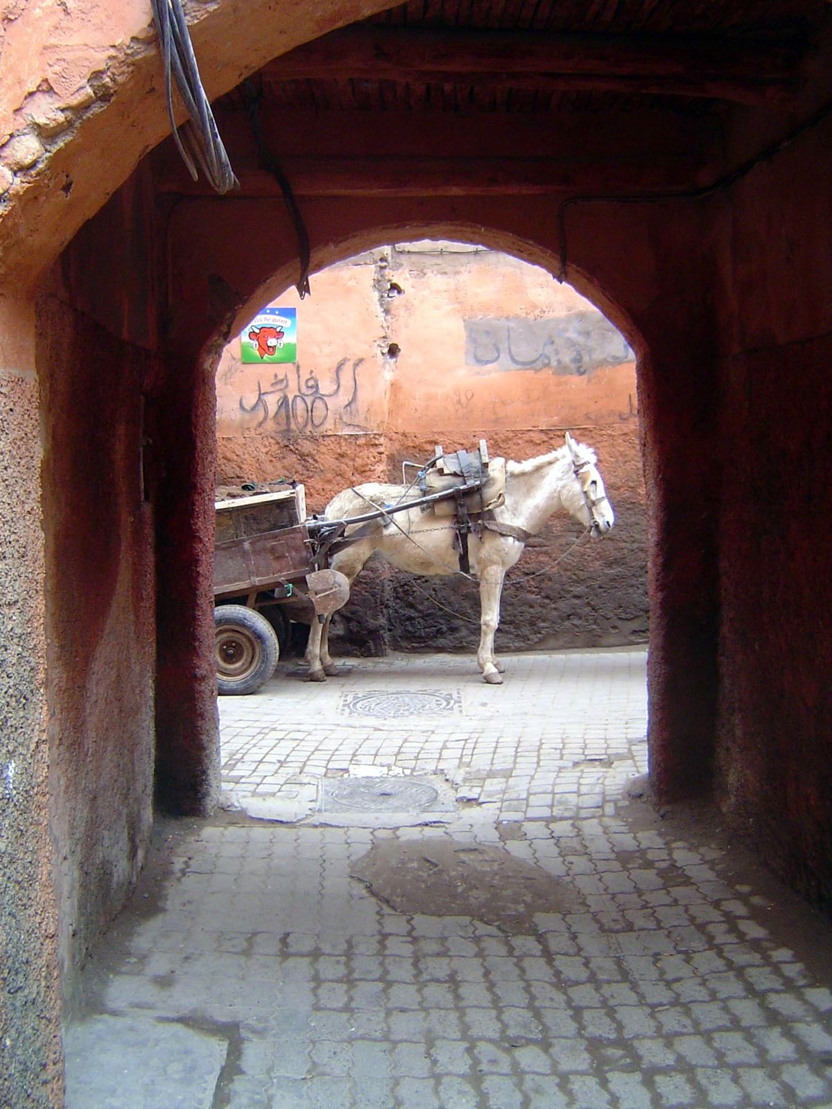 Jackson might have seen donkey carts, too, although not with pneumatic tires and a steel box.