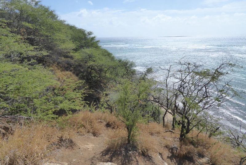 Call it five o'clock. This is the Diamond Head coast, as rugged as can be but also, where built up, as pricey.