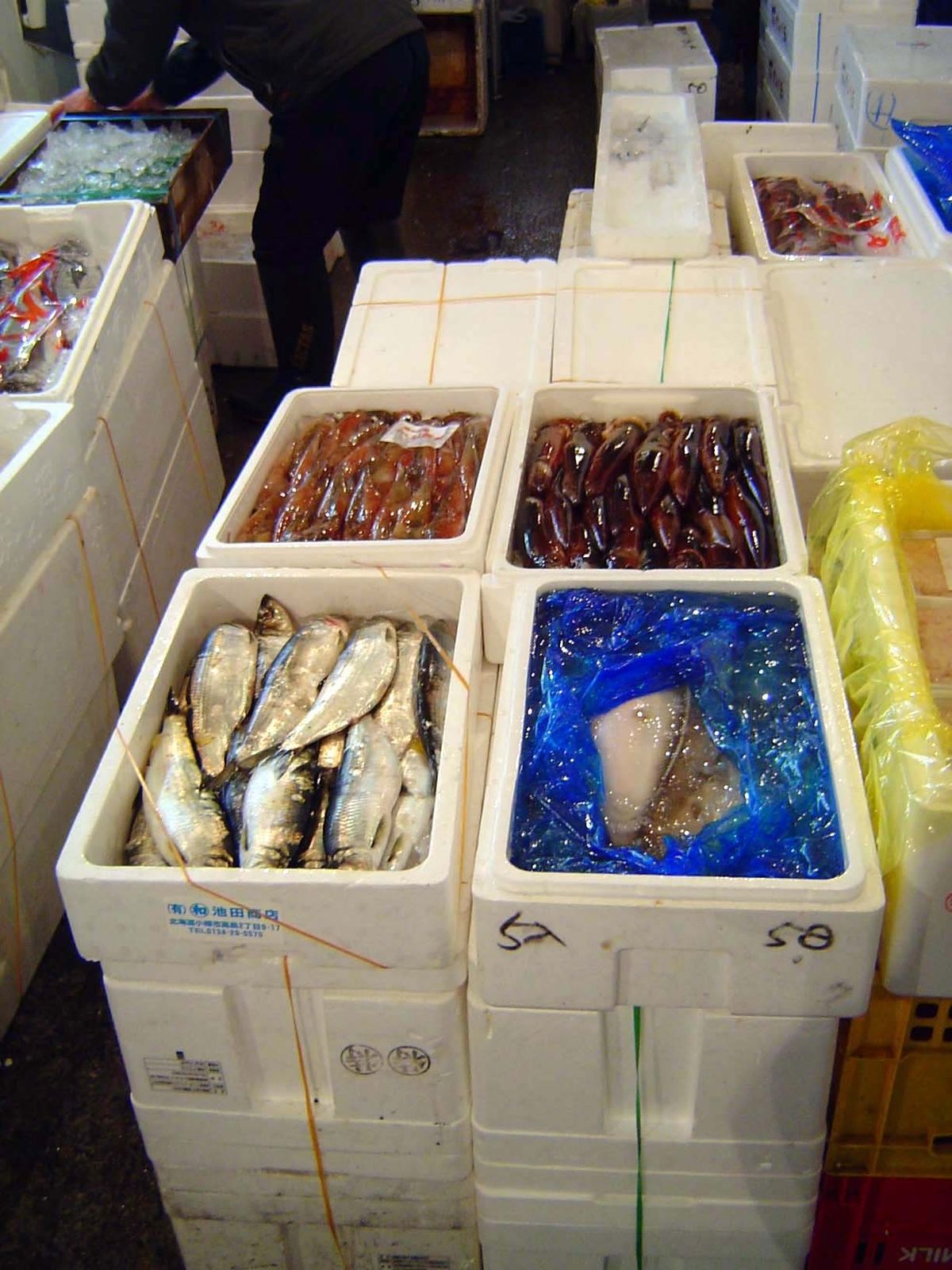 Standard boxes.