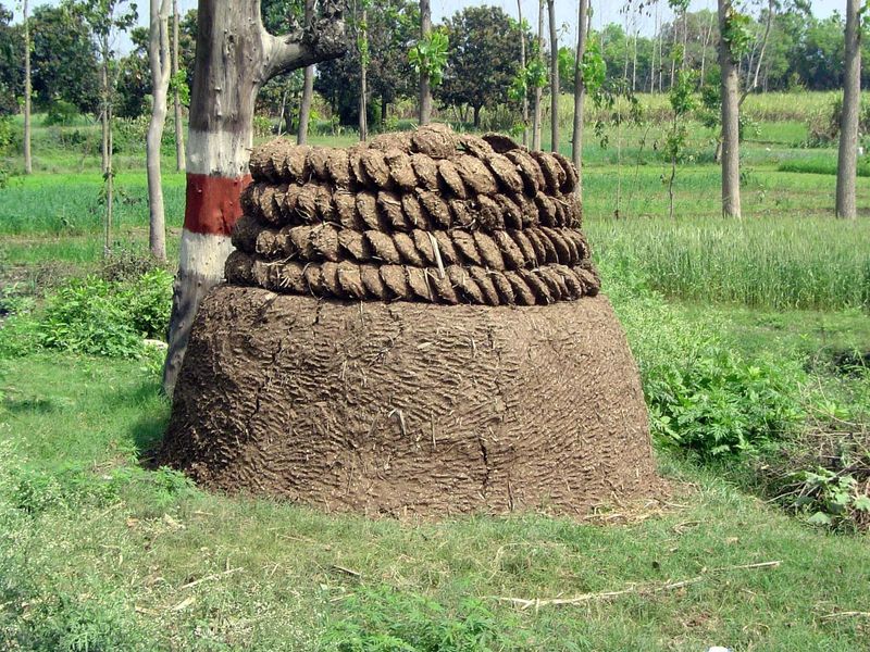 Here's an earlier stage in construction: cowdung cakes neatly stacked and ready for a protective wrap.