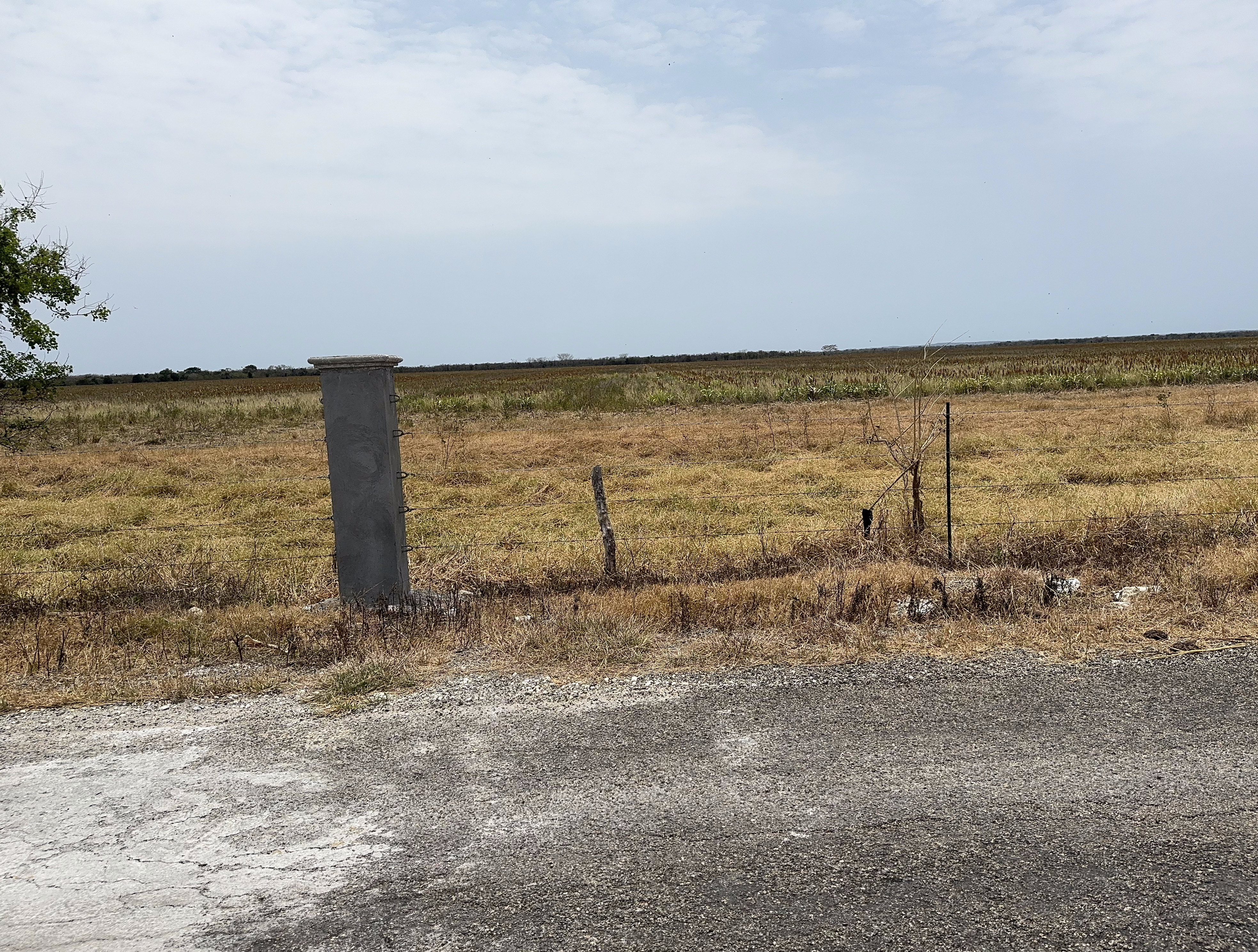 Or ranching.  How do you like this gold-plated fence post?