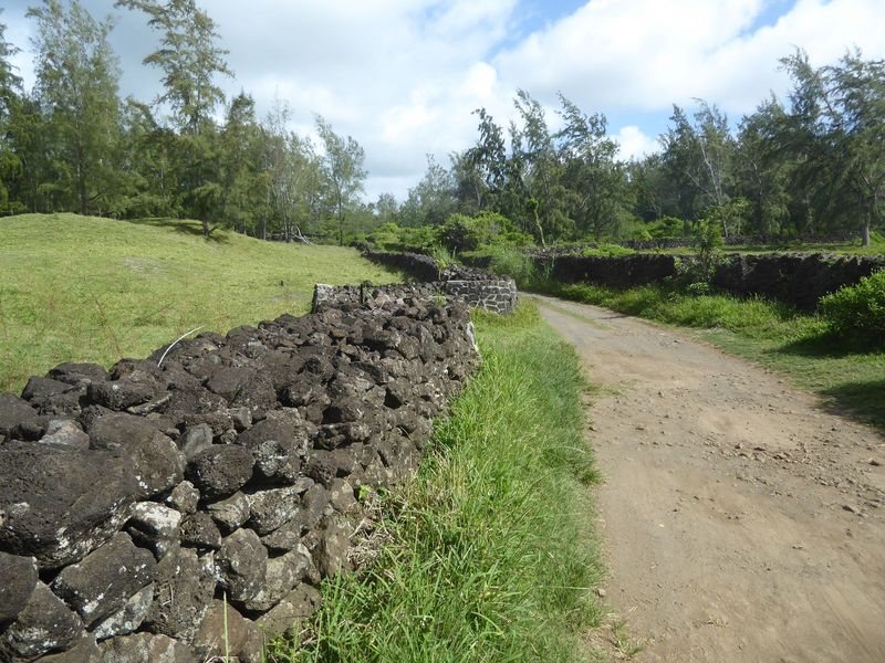 Approaching the coast, the road is lined with something you don't see here much: stone walls built, perhaps, to enclose pastures.