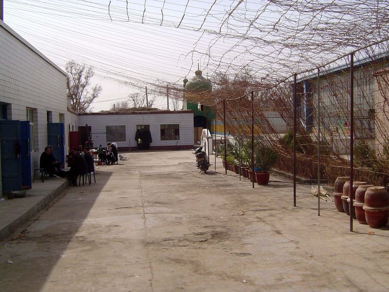Even utilitarian apartments have trellising for shade, greenery, and fruit.