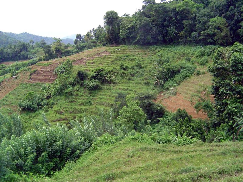 Farmers complain that water is short, however, and some of the fields are now abandoned, like the one at the upper right here.