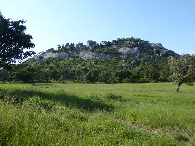 There are two primary features at Great Zimbabwe. One is them is this granite dome. Looks wild.

Uh, don't mind the beautiful meadow: it's l