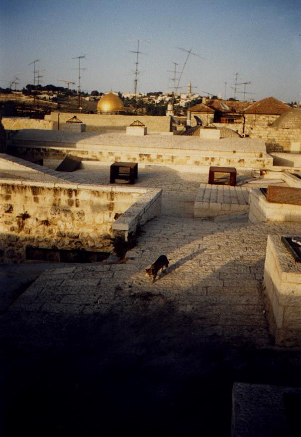 Many of the streets are solidly roofed over, with rows of skylights supplemented by powerful lighting.