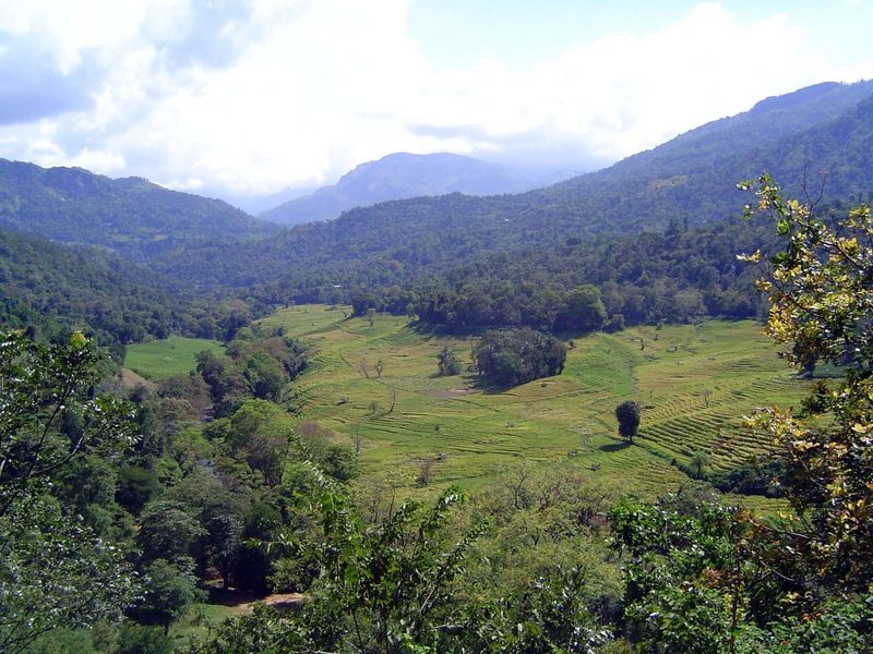 Here's a perspective that includes most of Lamesuriyagama. The view is south, towards Badulla, The stream comes down the valley in the dista