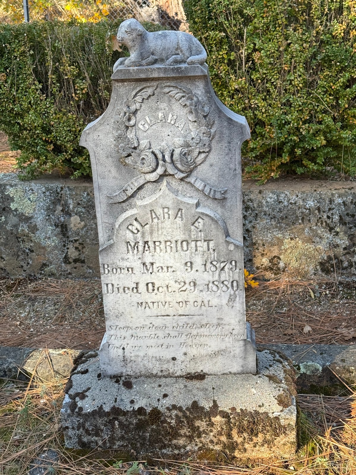 An unusual detail.  A child who dies before age 2 is described as a "Native of California."