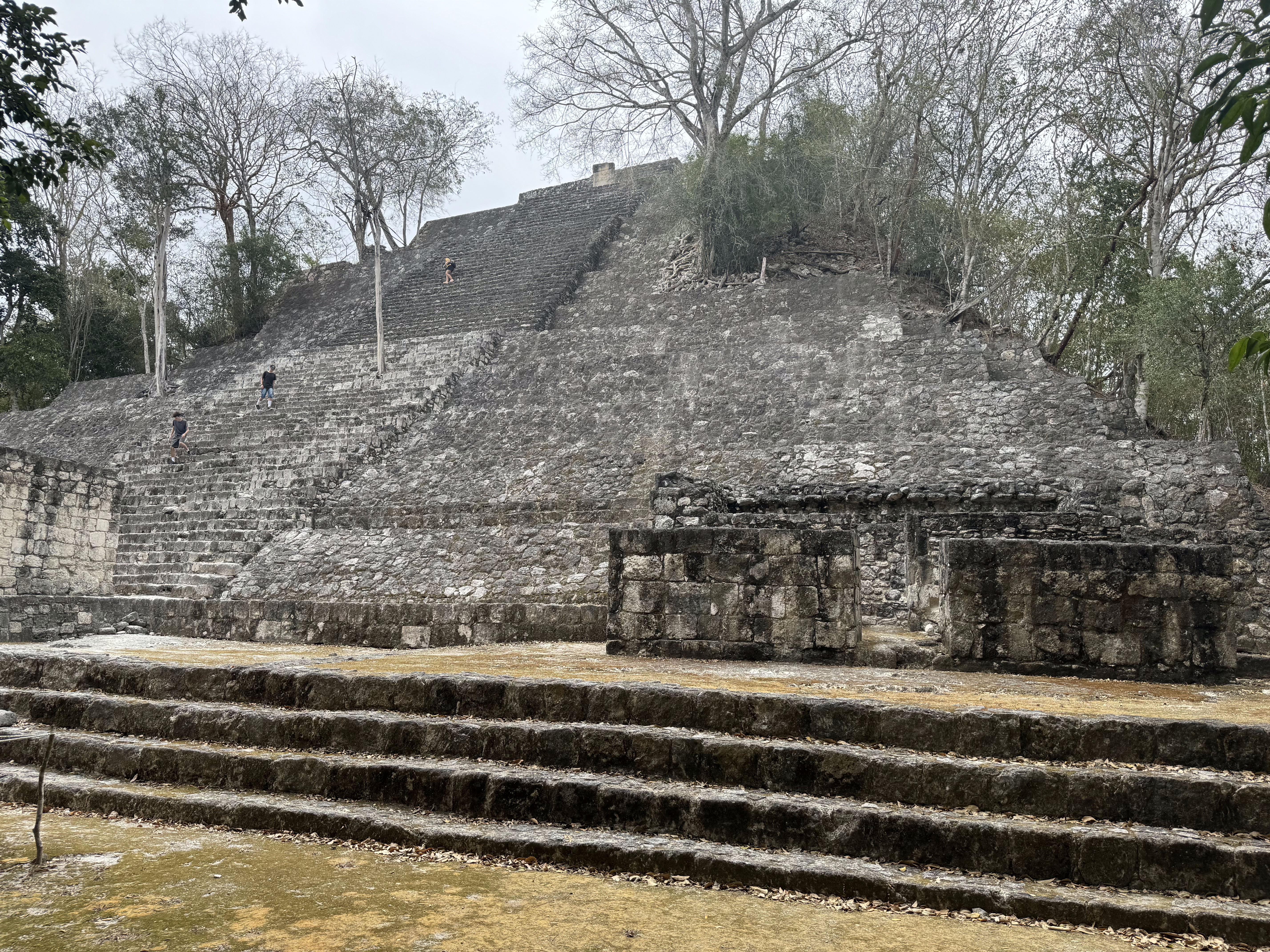 And here's the other pyramid, Structure 1.  Coe and Brukoff remind us that the people who built it lived in "extremely dispersed... small co