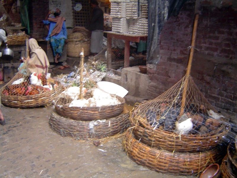 In netted baskets.