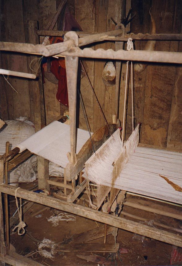 The household treasure—and source of income.