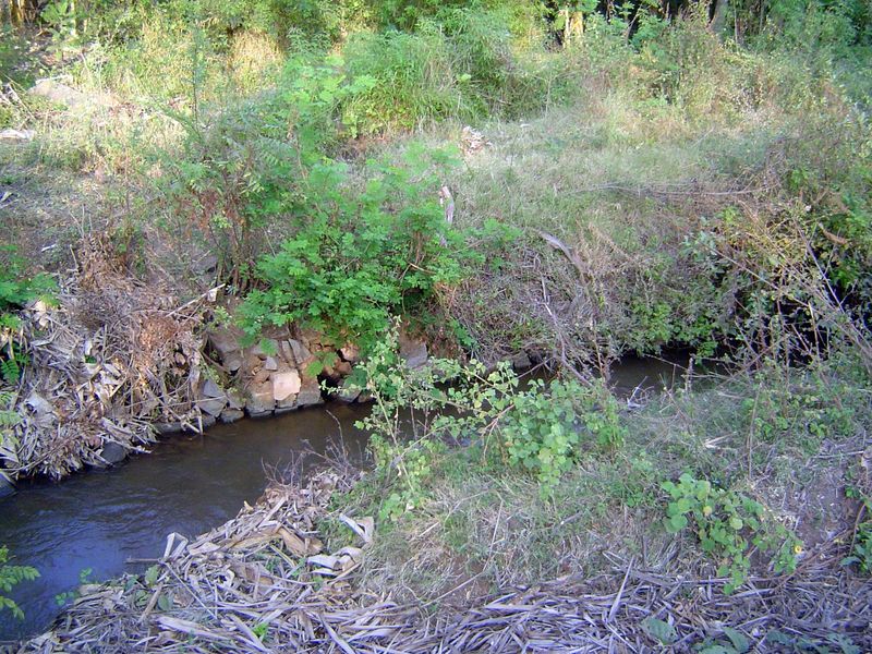At first blush, the canal walls seem crude.