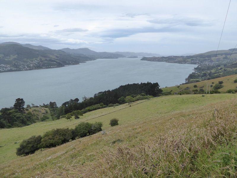 The view out to the sea. And yes, sheep still roam the hills.