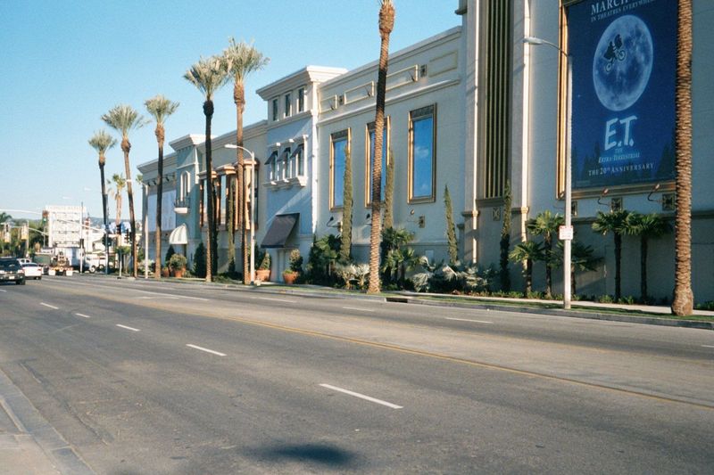 Across the street: The Grove, as new as the freshly transplanted palms.