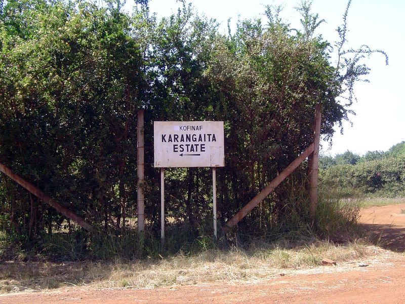 Now, as then, it's organized in estates.